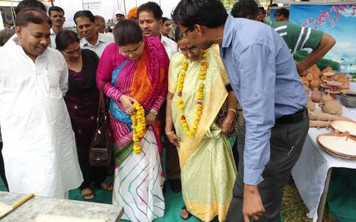 Ms. Hemlata Kheria, Member, NCW inaugurated the Youth Employment and Child Creativity fair at UPS Chatiyakheri, Gogunda, Rajasthan organised