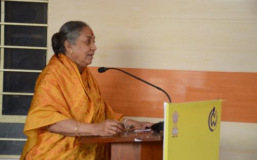 Hon'ble Chairperson organized a two-day National Consultation on 27th and 28th of February, 2014 at Jaipur, Rajasthan on "Prohibition of Atrocities against Women by Dehumanizing and Stigmatizing them in public"